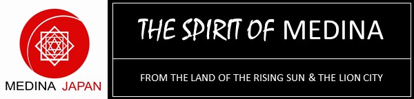 THE SPIRIT OF MEDINA